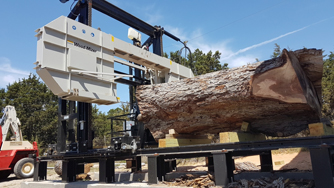 Texas Wood Slabs Texas Pecan